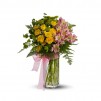 The Fresh and Fragrant